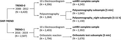 Evaluating heart rate variability with 10 second multichannel electrocardiograms in a large population-based sample